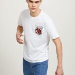 odzież Alcott koszulka ze smoczą kulą w3 biały mężczyźni 2TXFF6665