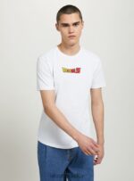 odzież Alcott koszulka ze smoczą kulą w3 biały mężczyźni 2TXFF6667 - Image 4